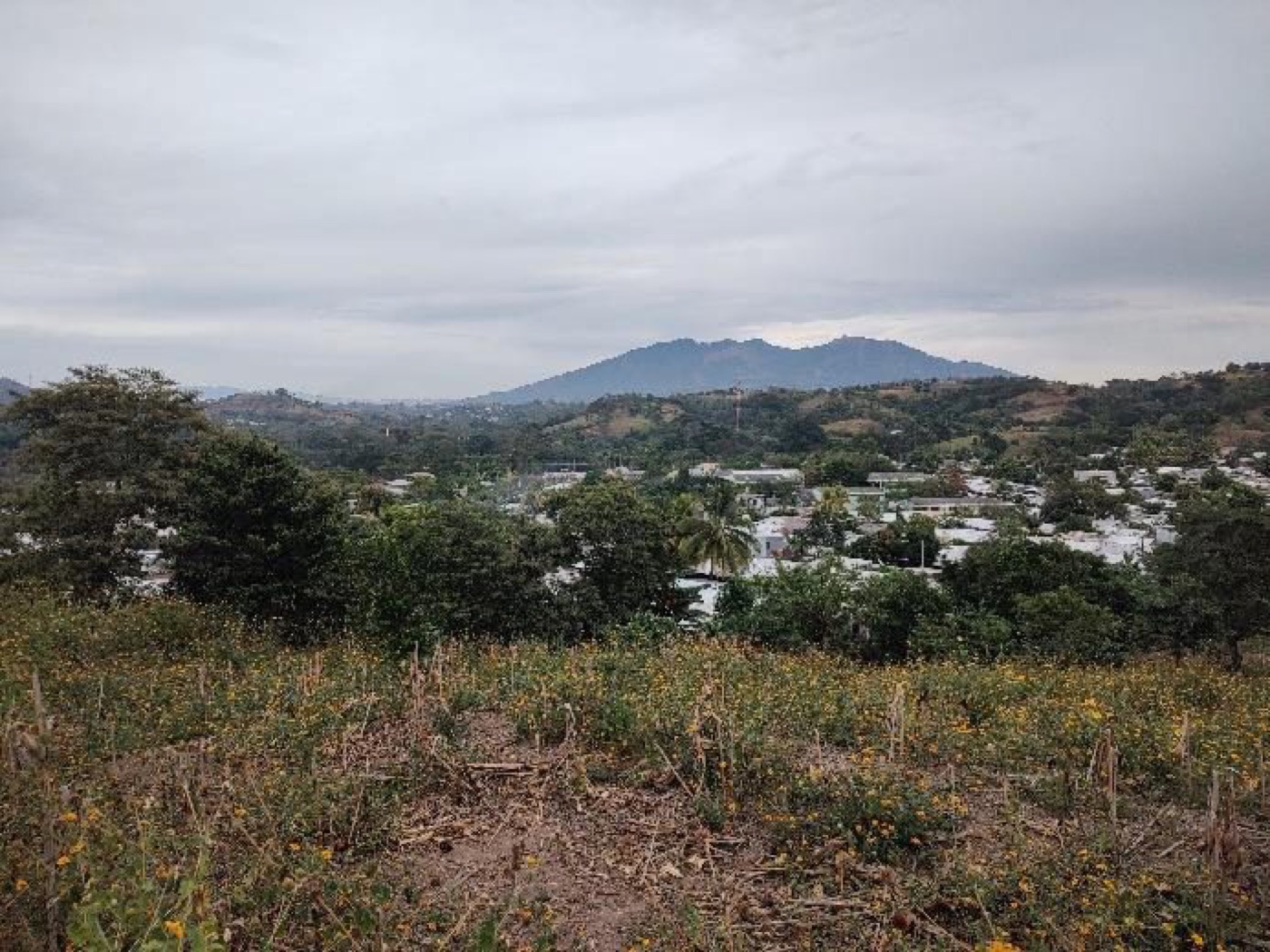 Vista panorámica del terreno de 4.5 hectáreas en Tonacatepeque